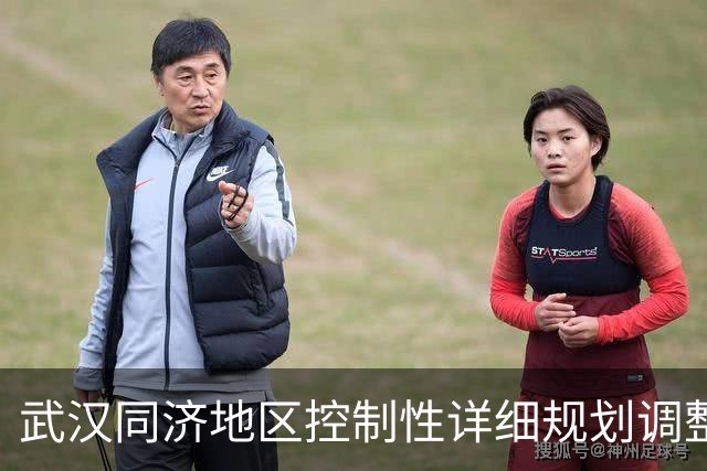 武汉同济地区控制性详细规划调整及拆迁进展分析